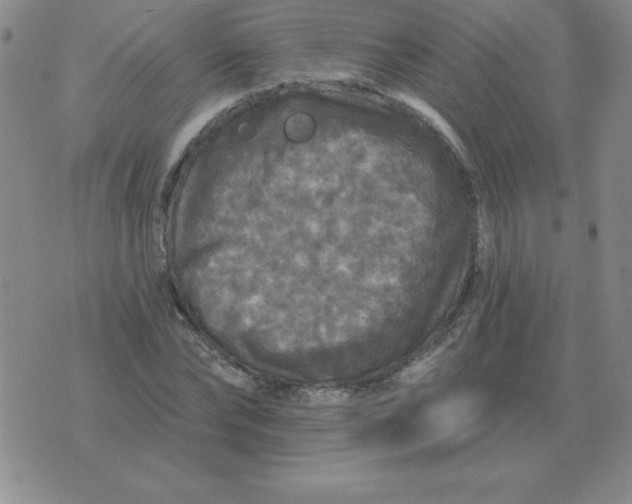 X0000076080878200610152250