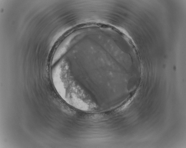 X0000076080879200610152250