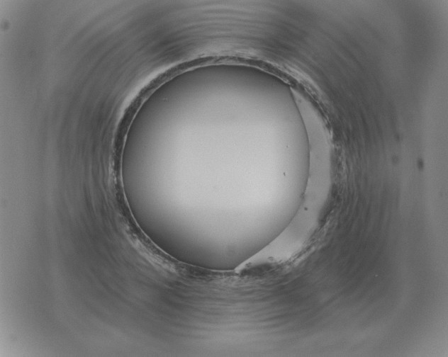 X0000076080880200610152250