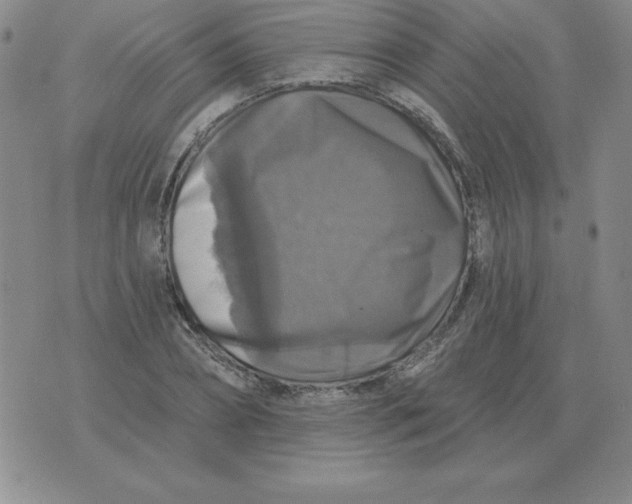 X0000076080882200610152250