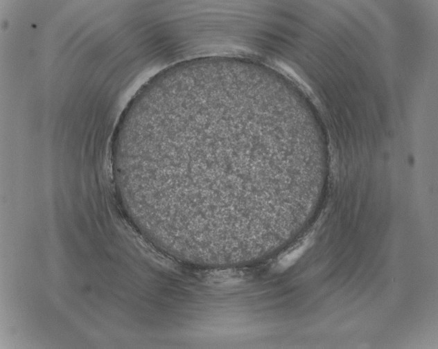 X0000076080883200610152250