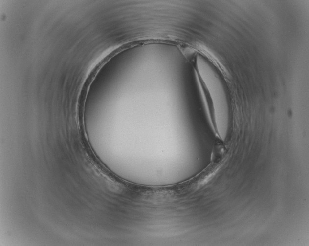 X0000076080884200610152250