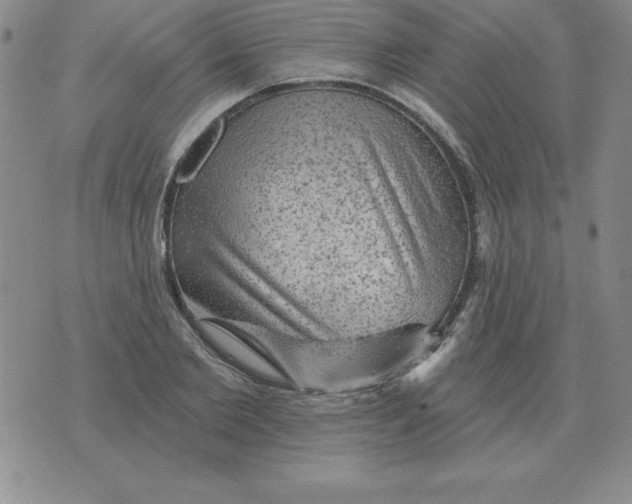 X0000076080885200610152250