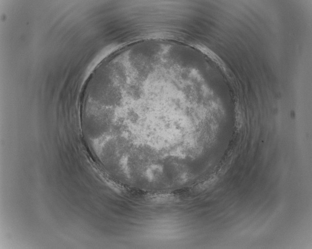 X0000076080886200610152250