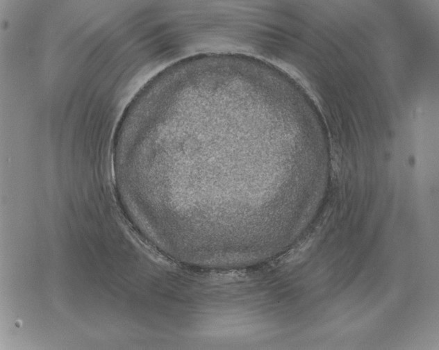 X0000076080887200610152250