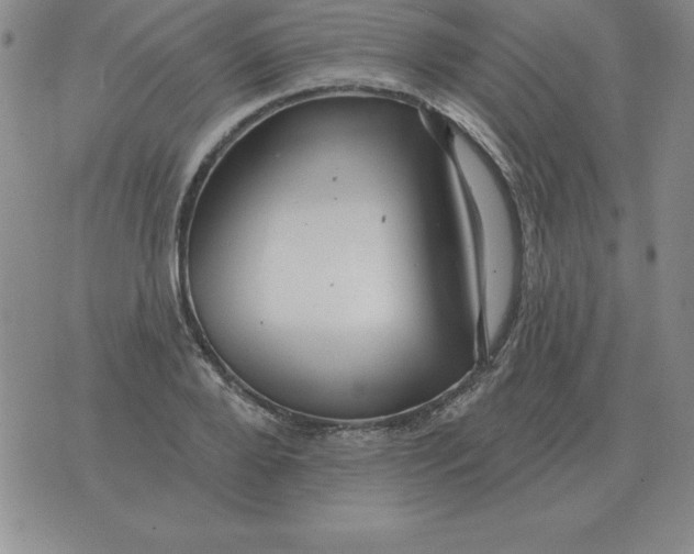 X0000076080888200610152250