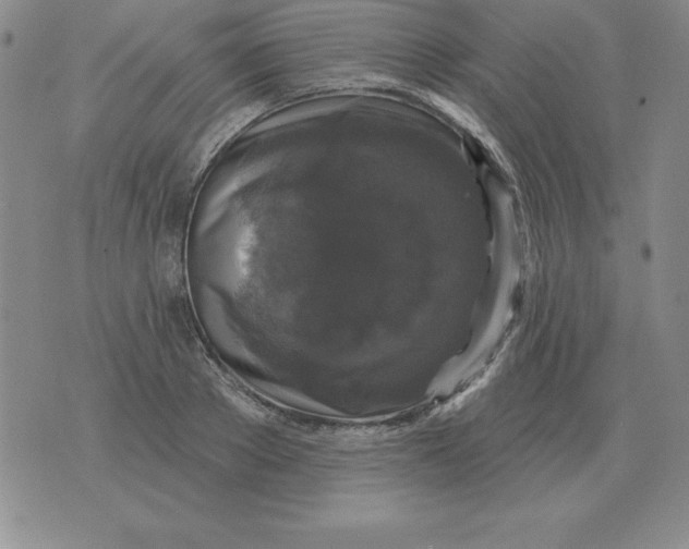 X0000076080889200610152250