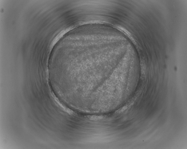 X0000076080890200610152250