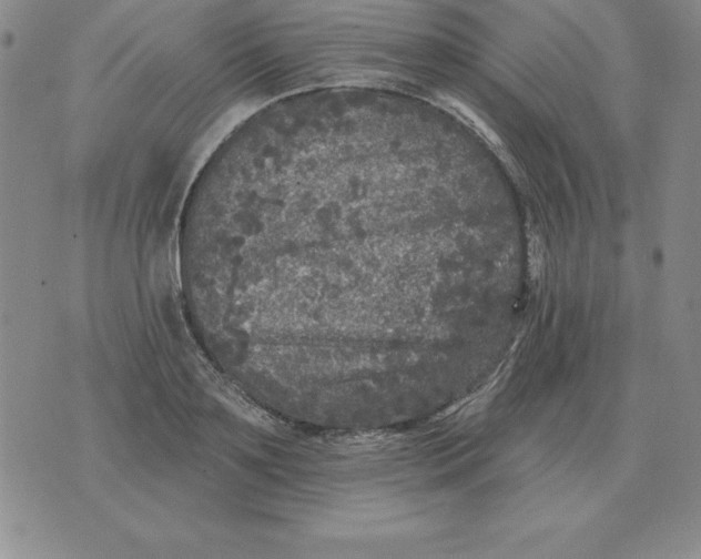 X0000076080891200610152250