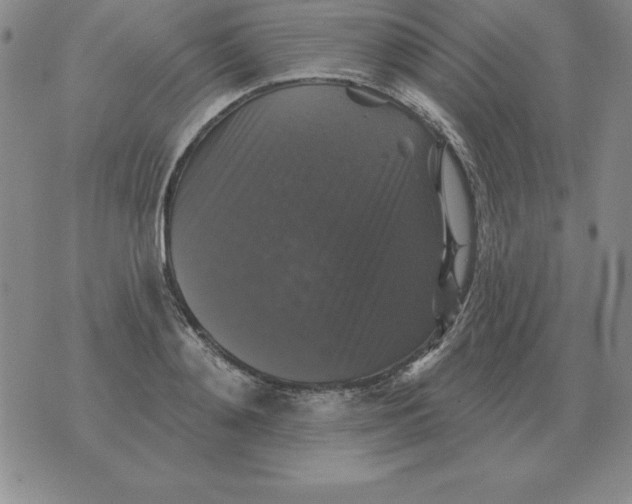 X0000076080892200610152250