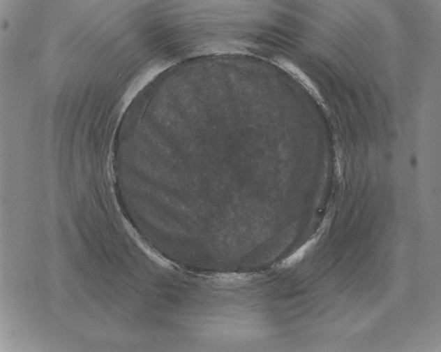 X0000076080893200610152250