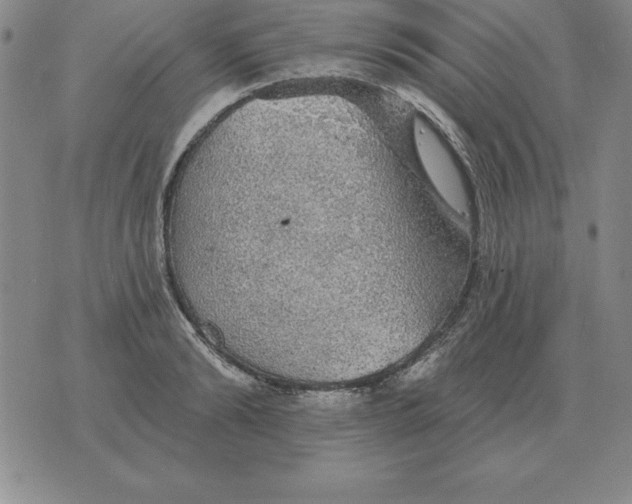 X0000076080894200610152250