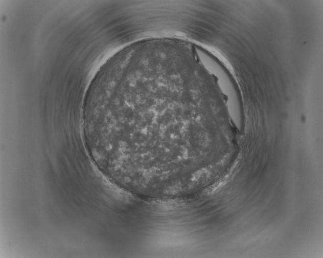 X0000076080895200610152250