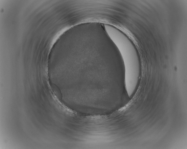 X0000076080896200610152250