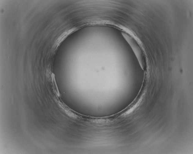 X0000076080897200610152250