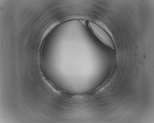 X0000076080898200610152250