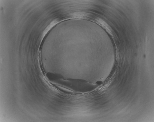 X0000076080899200610152250