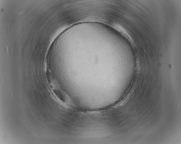 X0000076080900200610152250