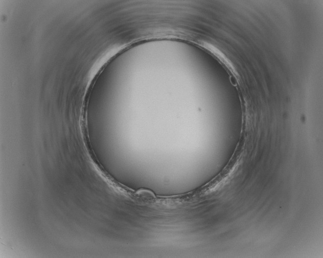 X0000076080901200610152250