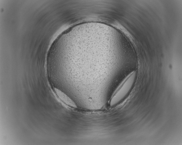 X0000076080902200610152250