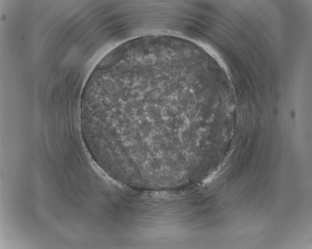 X0000076080903200610152250