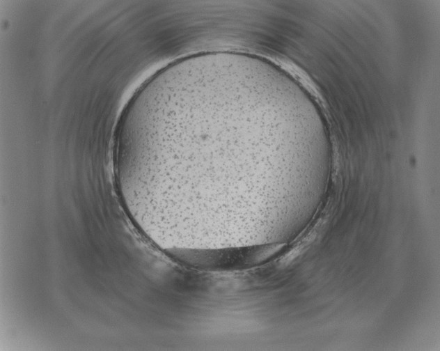 X0000076080904200610152249