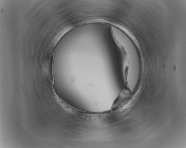 X0000076080905200610152249