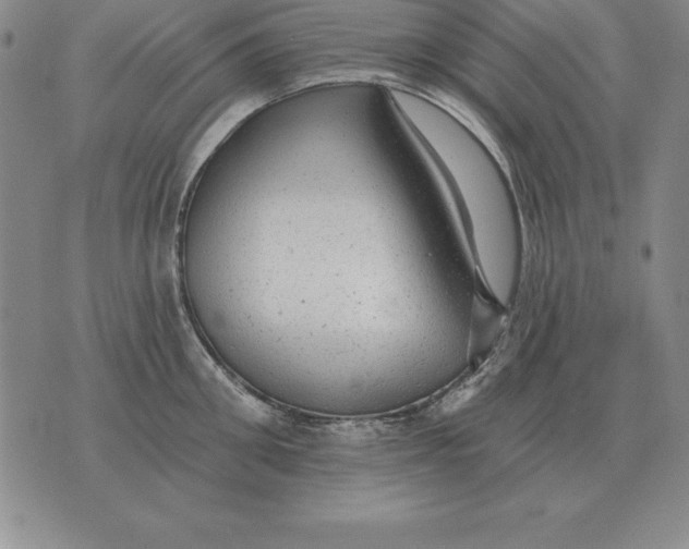 X0000076080906200610152249