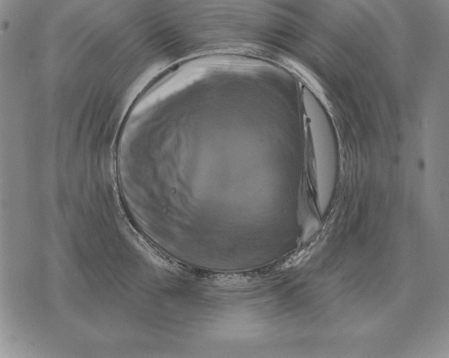 X0000076080907200610152249