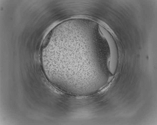 X0000076080908200610152249