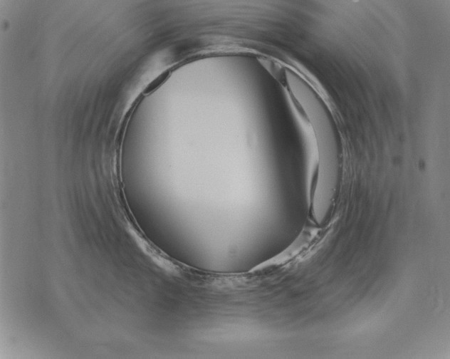 X0000076080909200610152249