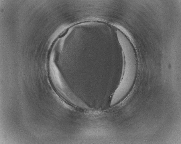 X0000076080910200610152249