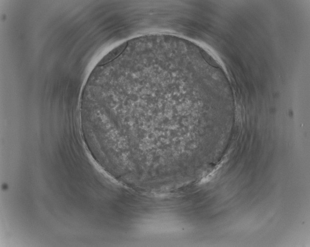 X0000076080911200610152249