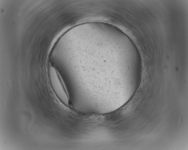 X0000076080912200610152249