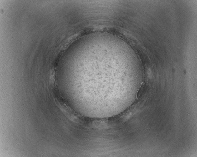 X0000076080914200610152249