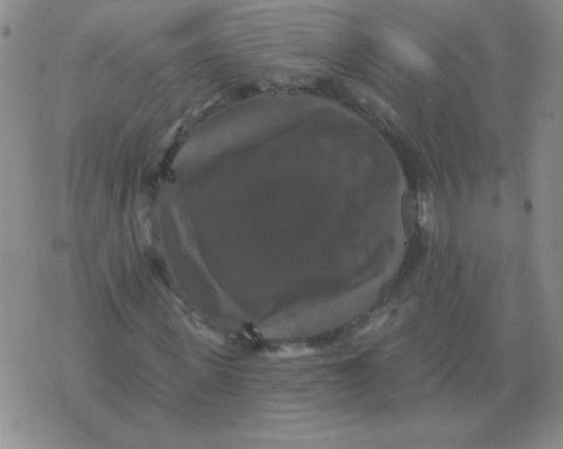 X0000076080915200610152249