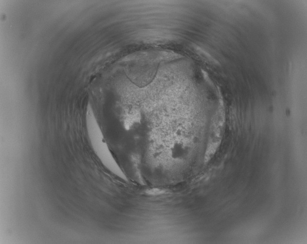 X0000076080917200610152249