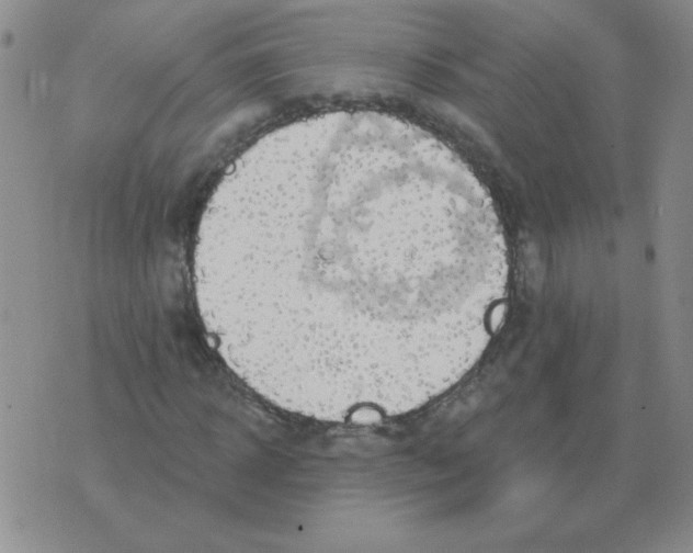 X0000076080918200610152249