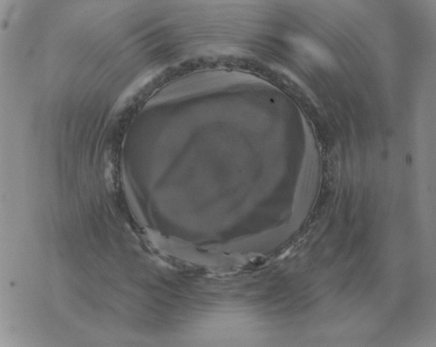 X0000076080919200610152249