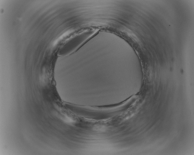 X0000076080920200610152249