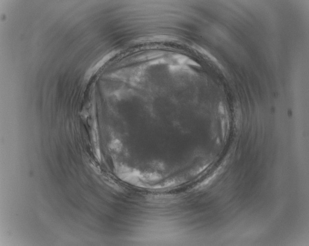 X0000076080921200610152249