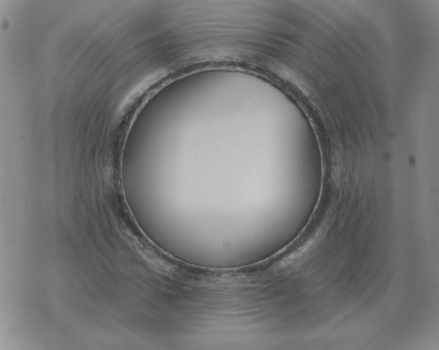 X0000076080922200610152249