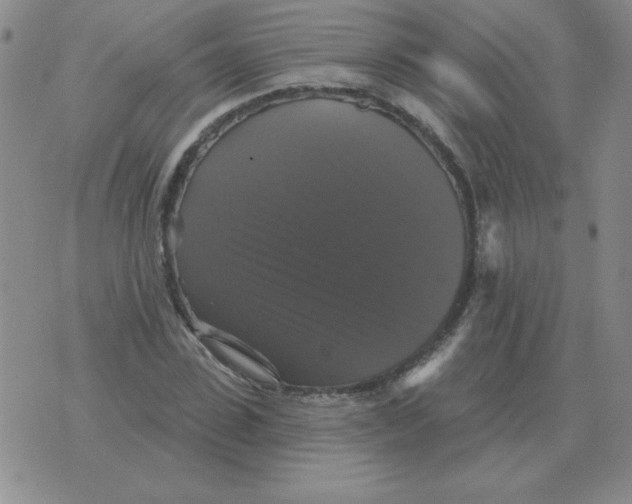 X0000076080923200610152249