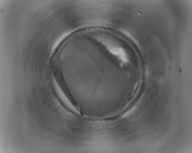 X0000076080925200610152249