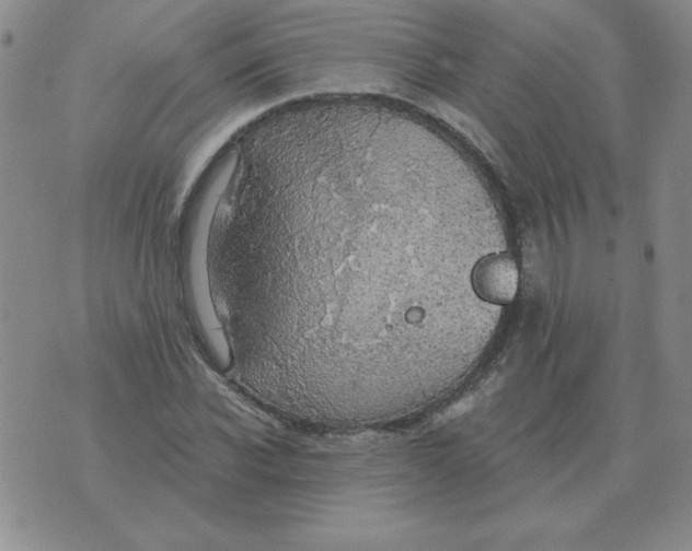 X0000076080926200610152249