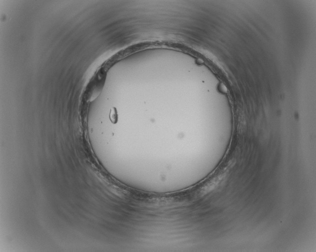 X0000076080927200610152249