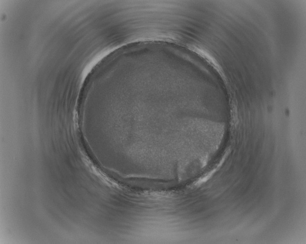 X0000076080928200610152249