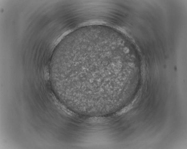 X0000076080929200610152249