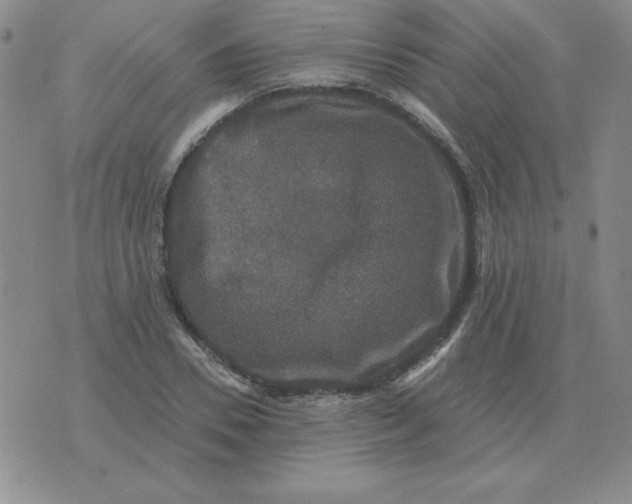 X0000076080930200610152249