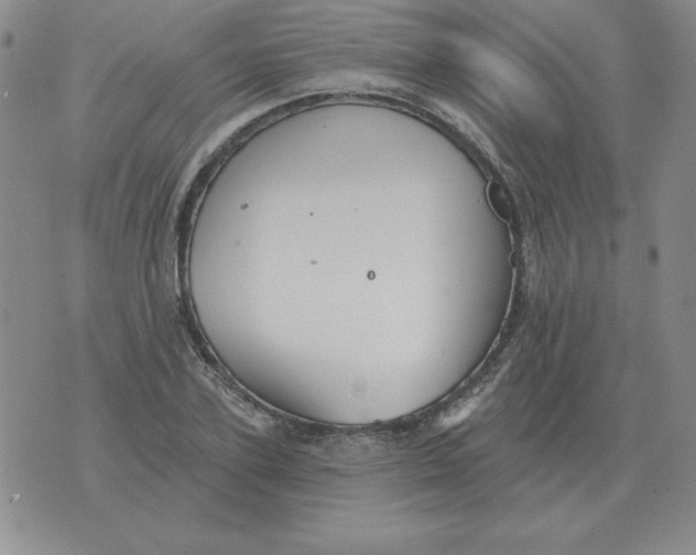 X0000076080931200610152249